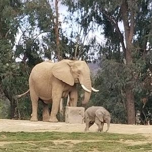 Meet your Posher, Gail